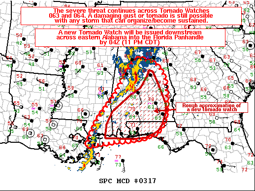 Mesoscale Discussion 317