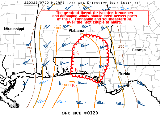 Mesoscale Discussion 320