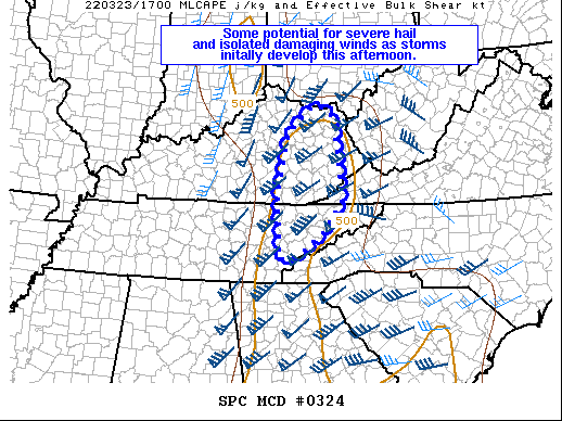 Mesoscale Discussion 324