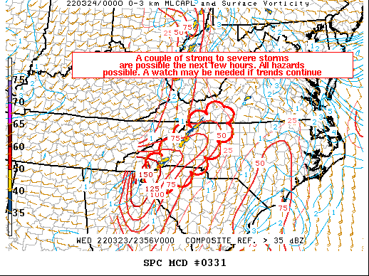 Mesoscale Discussion 331