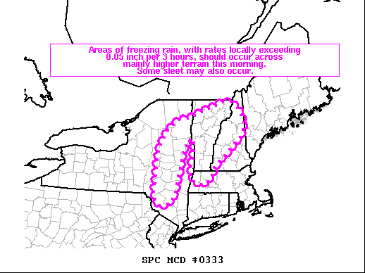 Mesoscale Discussion 333