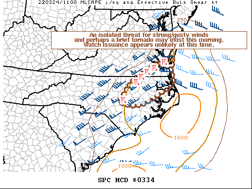 Mesoscale Discussion 334