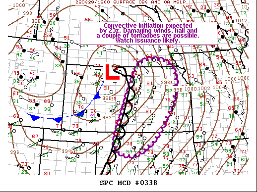 Mesoscale Discussion 338