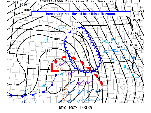Mesoscale Discussion 339
