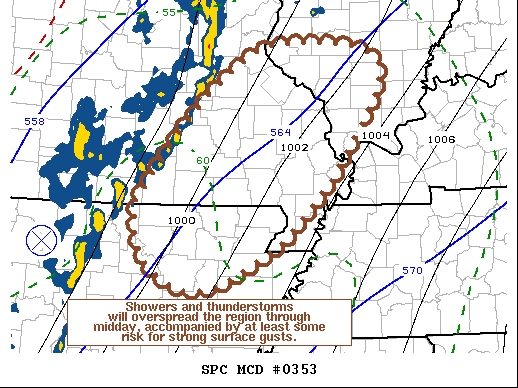 Mesoscale Discussion 353