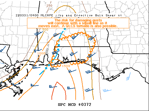 Mesoscale Discussion 372