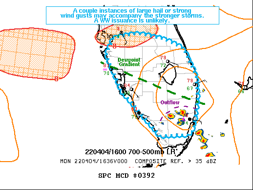 Mesoscale Discussion 392