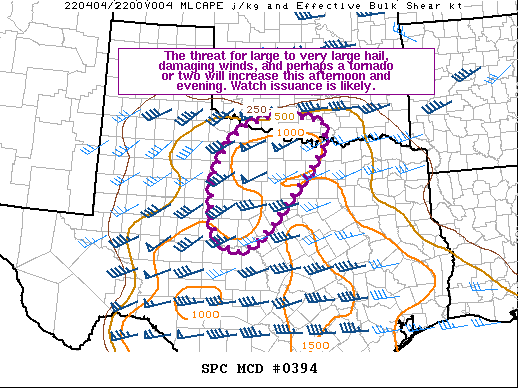 Mesoscale Discussion 394