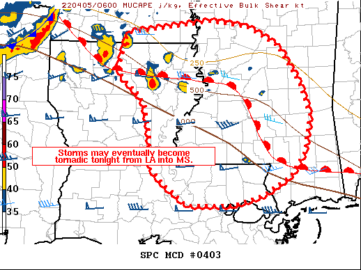 Mesoscale Discussion 403