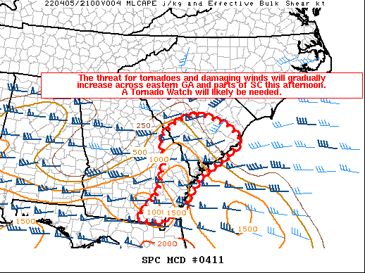 Mesoscale Discussion 411