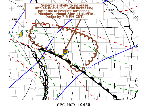 Mesoscale Discussion 460