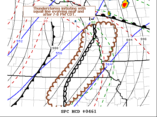 Mesoscale Discussion 461