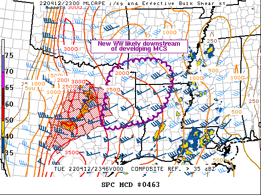 Mesoscale Discussion 463
