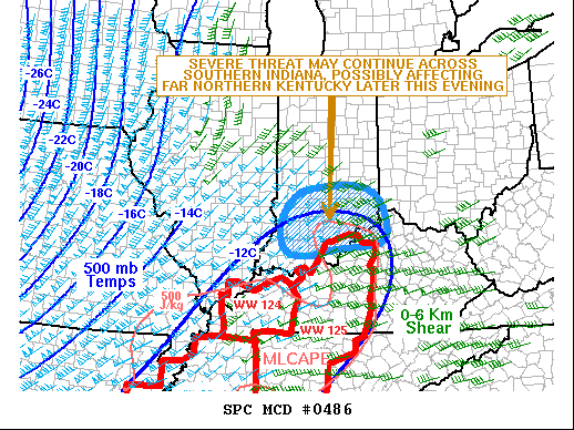 Mesoscale Discussion 486