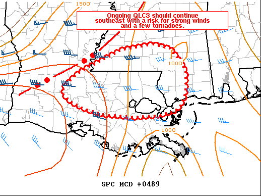 Mesoscale Discussion 489