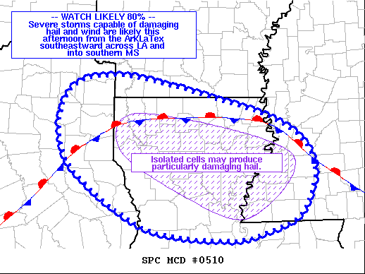 Mesoscale Discussion 510