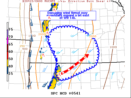 Mesoscale Discussion 541