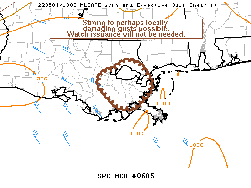 Mesoscale Discussion 605
