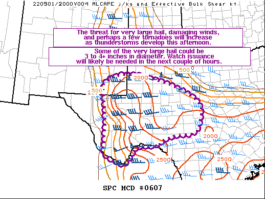Mesoscale Discussion 607