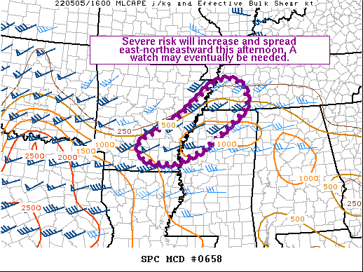 Mesoscale Discussion 658