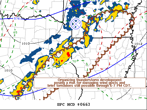 Mesoscale Discussion 663