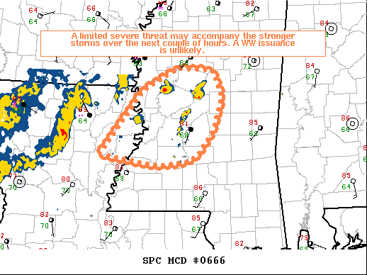 Mesoscale Discussion 666