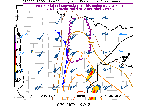 Mesoscale Discussion 702