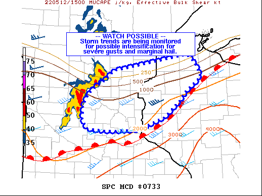 Mesoscale Discussion 733