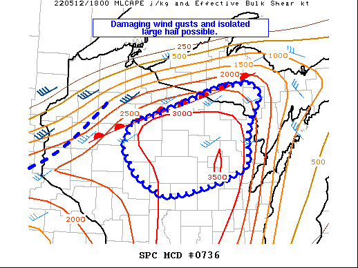 Mesoscale Discussion 736