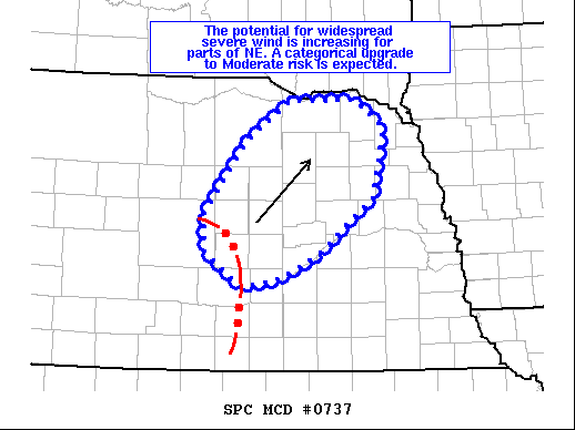Mesoscale Discussion 737
