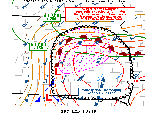 Mesoscale Discussion 738