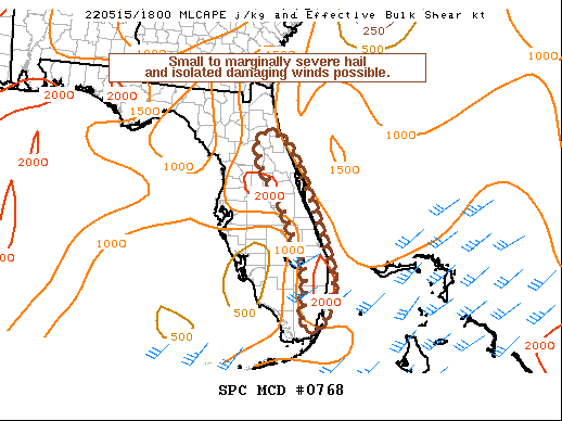 Mesoscale Discussion 768