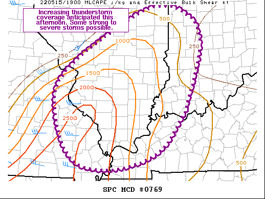 Mesoscale Discussion 769