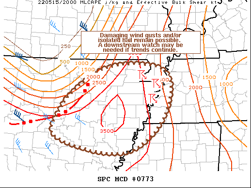 Mesoscale Discussion 773