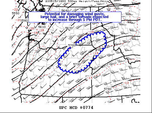 Mesoscale Discussion 774