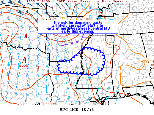 Mesoscale Discussion 775