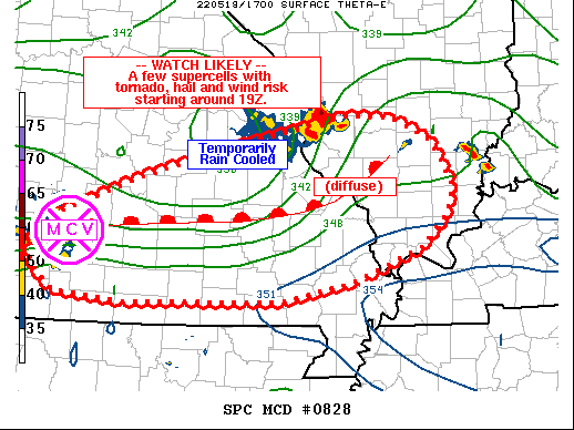Mesoscale Discussion 828