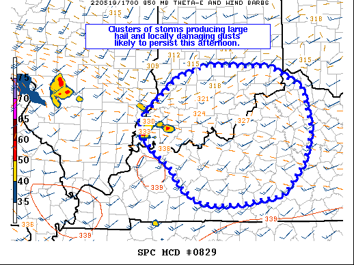 Mesoscale Discussion 829