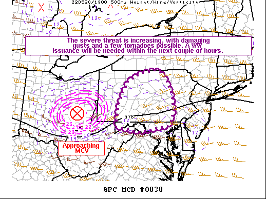 Mesoscale Discussion 838