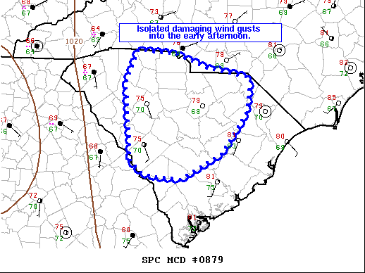 Mesoscale Discussion 879