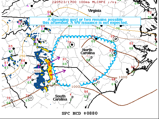Mesoscale Discussion 880