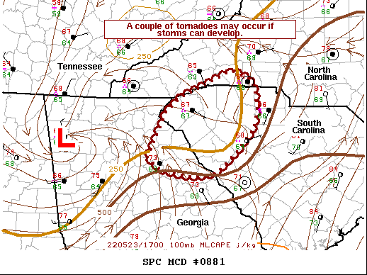 Mesoscale Discussion 881
