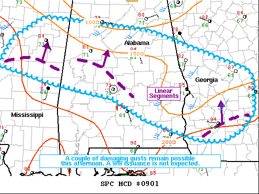 Mesoscale Discussion 901