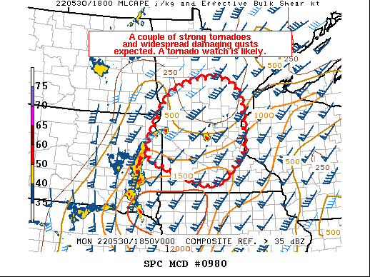 Mesoscale Discussion 980