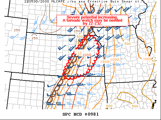 Mesoscale Discussion 981