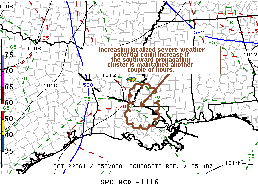 Mesoscale Discussion 1116