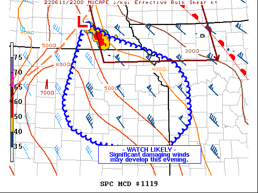 Mesoscale Discussion 1119