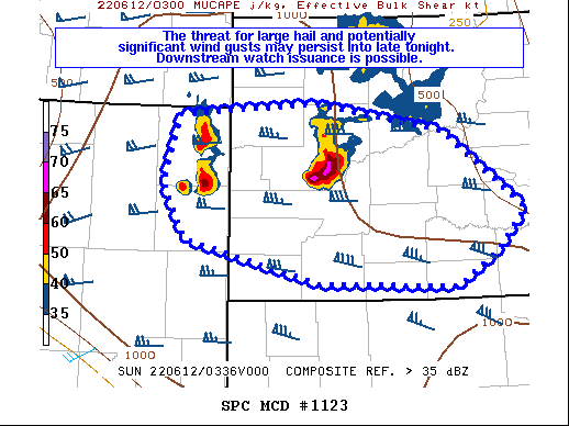 Mesoscale Discussion 1123