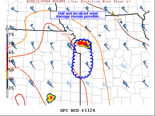 Mesoscale Discussion 1124