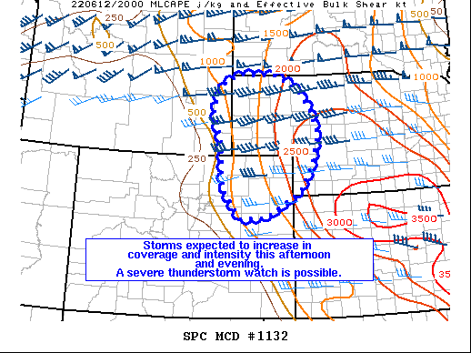 Mesoscale Discussion 1132